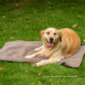 Clean and absorbent pet bath towels microfiber chenille